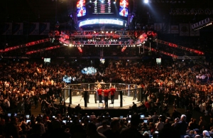 /pliki/zdjecia/mma 1.jpg